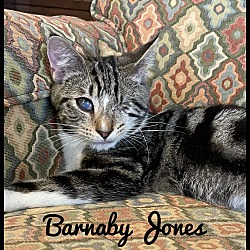 Photo of Barnaby Jones