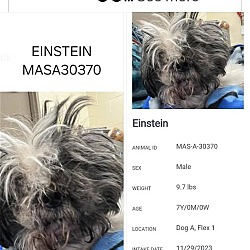 Thumbnail photo of Einstein D2024 DH in New England #2