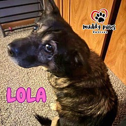 Thumbnail photo of Lola (Courtesy Post) #2