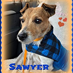 Thumbnail photo of Sawyer #1