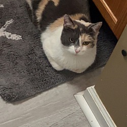 Photo of Mocha