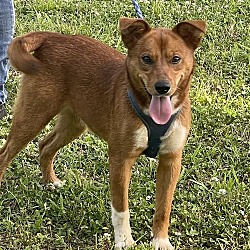 Photo of George Ann - Gorgeous Girl!