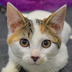 Photo of Maysilee