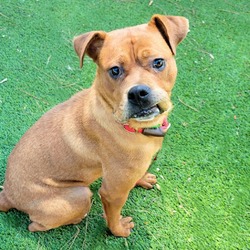 Thumbnail photo of WHITNEY-A2153756 #3