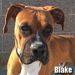 Thumbnail photo of Blake #1