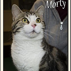 Thumbnail photo of Morty #2