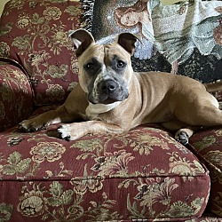 Photo of Chloe