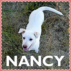 Thumbnail photo of Nancy with freckles #1