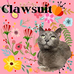 Thumbnail photo of Clawsuit #1