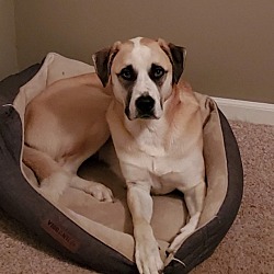 Photo of Murphy