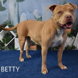 Thumbnail photo of Betty #1