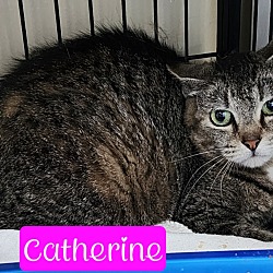 Photo of Catherine