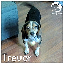 Thumbnail photo of Trevor #1