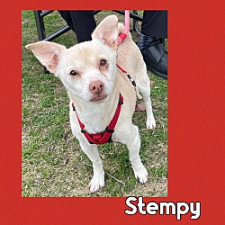 Photo of Stempy