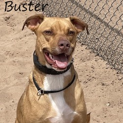 Thumbnail photo of Buster 240414 #1