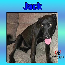 Thumbnail photo of Jack (Courtesy Post) #1