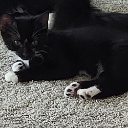 Photo of Bumi 