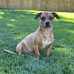 Photo of Tammy