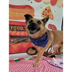 Photo of *CHIP