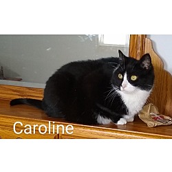 Photo of Caroline