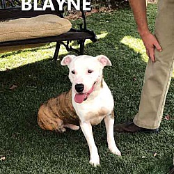 Photo of Blayne