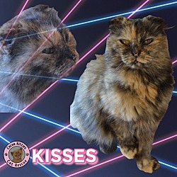 Thumbnail photo of Kisses #1