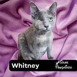 Thumbnail photo of Whitney #3