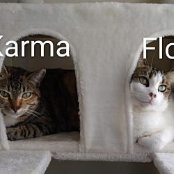 Photo of Floof and karma