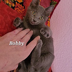 Thumbnail photo of BOBBY GRADY #4