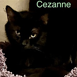 Thumbnail photo of Cezanne #2
