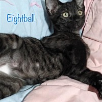 Photo of Eightball