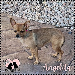 Photo of Angelita