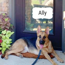 Thumbnail photo of Ally #1