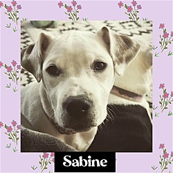 Photo of Sabine
