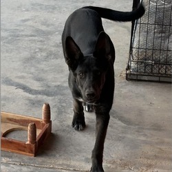 Photo of Tipsy