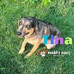 Thumbnail photo of Tina (Courtesy Post) #2