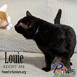 Thumbnail photo of Louie #2