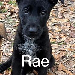 Photo of Rae