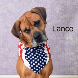 Thumbnail photo of Lance #4