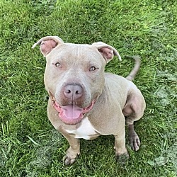 Photo of Samson