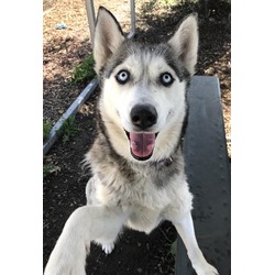 Photo of *WHITNEY