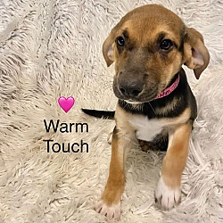 Thumbnail photo of Warm Touch #1