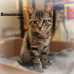Thumbnail photo of Rousseau #1