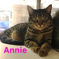 Photo of Annie
