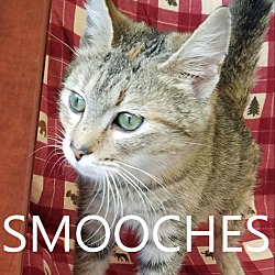 Photo of Smooches