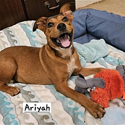 Thumbnail photo of Ariyah #1