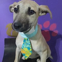 Photo of Betty