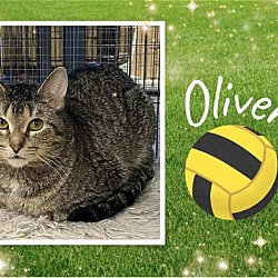 Photo of Oliver