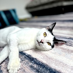 Photo of Trinity