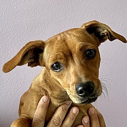 Photo of Butter